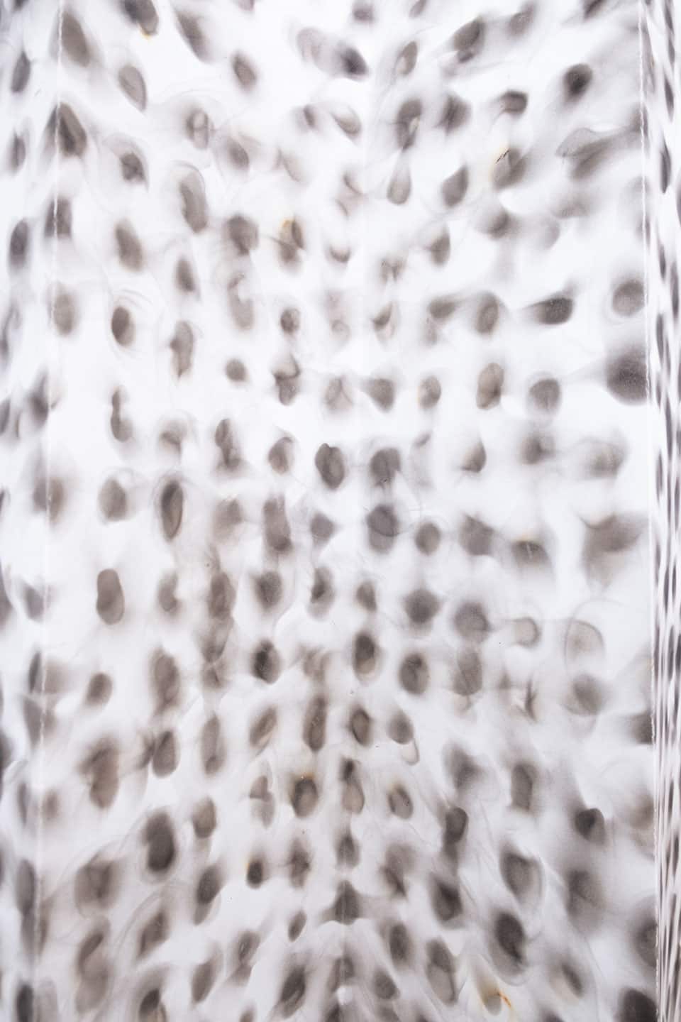 Kristiina Lahde and Adam David Brown 'Double Vision' at NAMARA projects